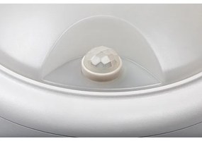 Rabalux 77029 - LED Vonkajšie nástenné svietidlo so senzorom LED/15W/230V IP54