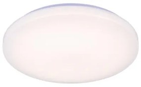 LED Stmievateľné stropné svietidlo OPAL LED/48W/230V Wi-Fi Tuya + DO