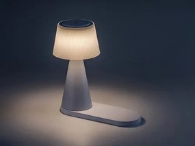 Rabalux ZAVIER LED stolná lampa 74214
