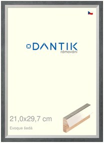 DANTIK rám na obraz 21x29,7 | EVOQUE šedá (Sklo Čiré)
