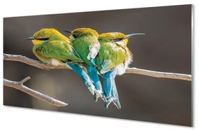 Obraz na akrylátovom skle Vtáky na vetve 100x50 cm