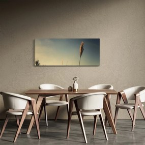 Obraz s trávou (120x50 cm)