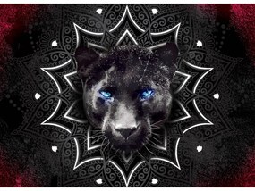 Tapeta na stenu Panter mandala
