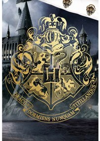 Carbotex Bavlnené obliečky 140x200 + 70x90 cm - Harry Potter Cesta do Bradavíc