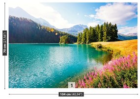 Fototapeta Vliesová Švajčiarske alpy 416x254 cm