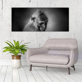 Obraz - Opička (120x50 cm)