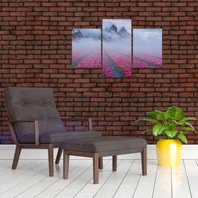 Obraz - Krajina s tulipánovými poľami (90x60 cm)