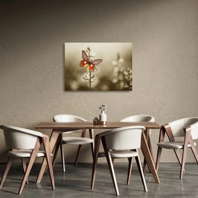 Sklenený obraz motýľa (70x50 cm)