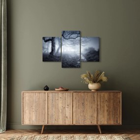 Obraz - Cesta v hmle (90x60 cm)