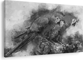 Obraz - Akvareloví papagáje (90x60 cm)