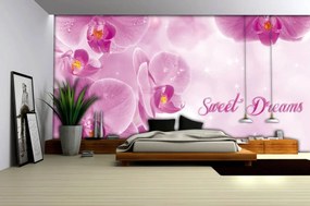 Fototapeta - Orchidey (254x184 cm)