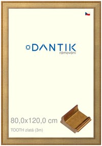 DANTIK rám na obraz 80x120 | TOOTH zlatá (Plexi Čiré)