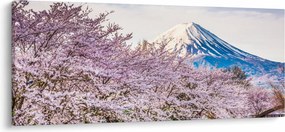 Obraz - Japonsko na jar (120x50 cm)