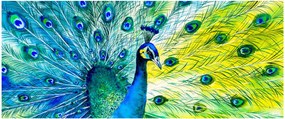Obraz páva (120x50 cm)