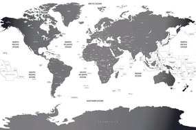 Tapeta mapa sveta s jednotlivými štátmi v šedej farbe - 150x100