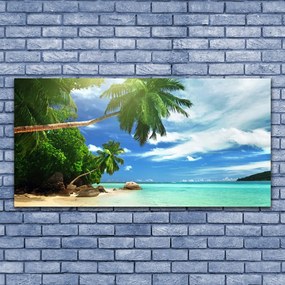 Obraz plexi Palma pláž more krajina 120x60 cm