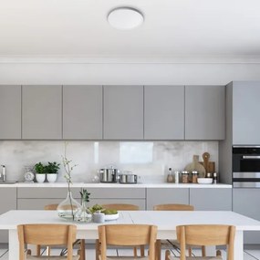 Rabalux 3427 - LED stropné svietidlo PAVEL LED/18W/230V