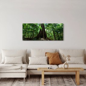 Obraz - Korene stromu (120x50 cm)