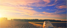 Obraz žltého auta v poli (120x50 cm)
