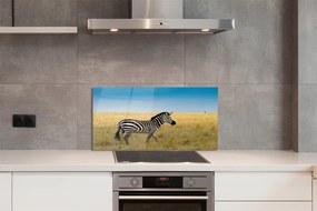 Nástenný panel  Zebra box 125x50 cm