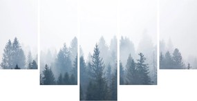 Obraz - Zahmlený les (150x105 cm)