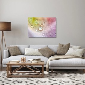 Sklenený obraz - Kvapky rosy (70x50 cm)