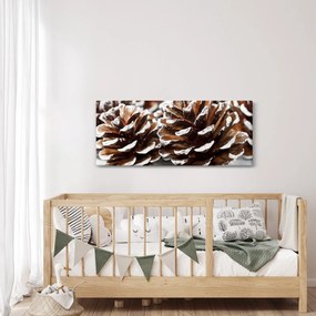 Obraz - Šišky (120x50 cm)