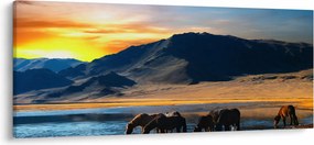 Obraz - Napájadlo (120x50 cm)