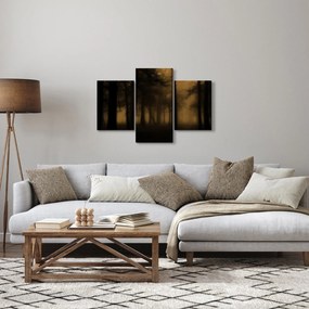 Obraz - Temný les (90x60 cm)