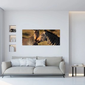 Obraz - Dve zebry (120x50 cm)