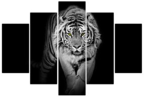 Obraz - Tiger so žltými očami (150x105 cm)