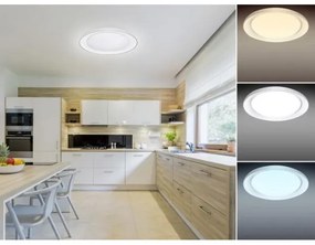 LED Stmievateľné stropné svietidlo OPAL LED/24W/230V + DO