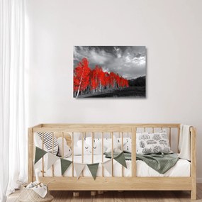 Sklenený obraz - Stromy vo farbe jesene (70x50 cm)