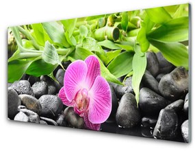 Skleneny obraz Kvety orchidea kamene zen 140x70 cm