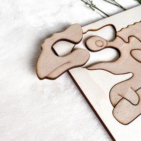 Dvojfarebná drevená montessori vkladačka pre deti - CHAMELEÓN BUK | SENTOP H014-B