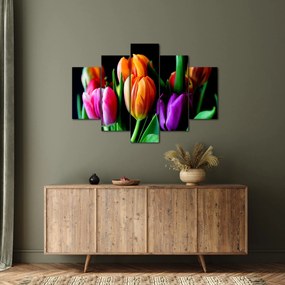 Obraz tulipánov na čiernom pozadí (150x105 cm)