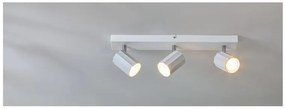 Livarno home Stropné svietidlo (lištové svietidlo, matná biela)  (100393031)