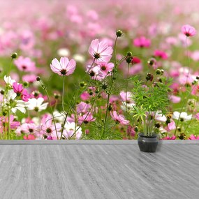 Fototapeta Vliesová Vesmír kvety 416x254 cm