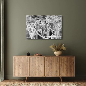 Obraz - Zmrznuté listy, čiernobiela (90x60 cm)