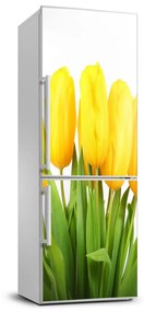 Nálepka fototapeta Žlté tulipány FridgeStick-70x190-f-50296445