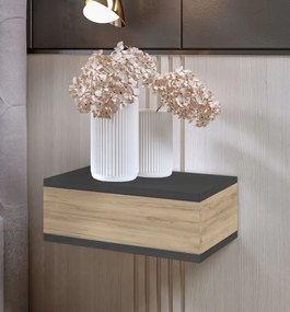 Nočný stolík LOFT - grafitový/dub craft zlatý