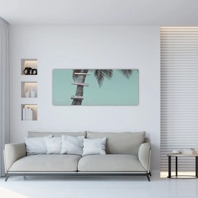 Obraz - Palma v Karibiku (120x50 cm)