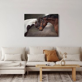 Obraz - Zamilované kone (90x60 cm)