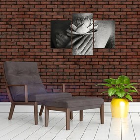 Obraz - Lotos v rukách Budhu (90x60 cm)