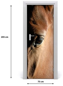 Samolepiace fototapety na dvere kôň 75x205 cm