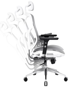 Kancelárska ergonomická stolička Diablo V-Basic, bielo-šedá