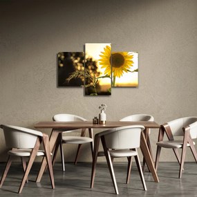 Obraz slnečnice (90x60 cm)