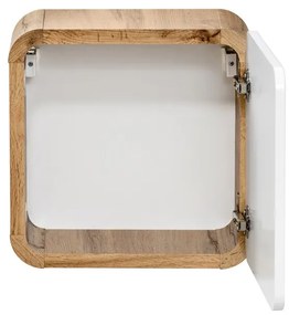 Kúpeľňová závesná skrinka Aruba 831 1D dub craft zlatý/biely lesk