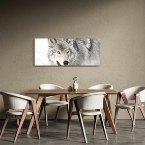 Obraz - Vlk v prírode (120x50 cm)