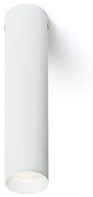 RENDL RIGA 18 stropná biela 230V LED 4W 38° 3000K R12450
